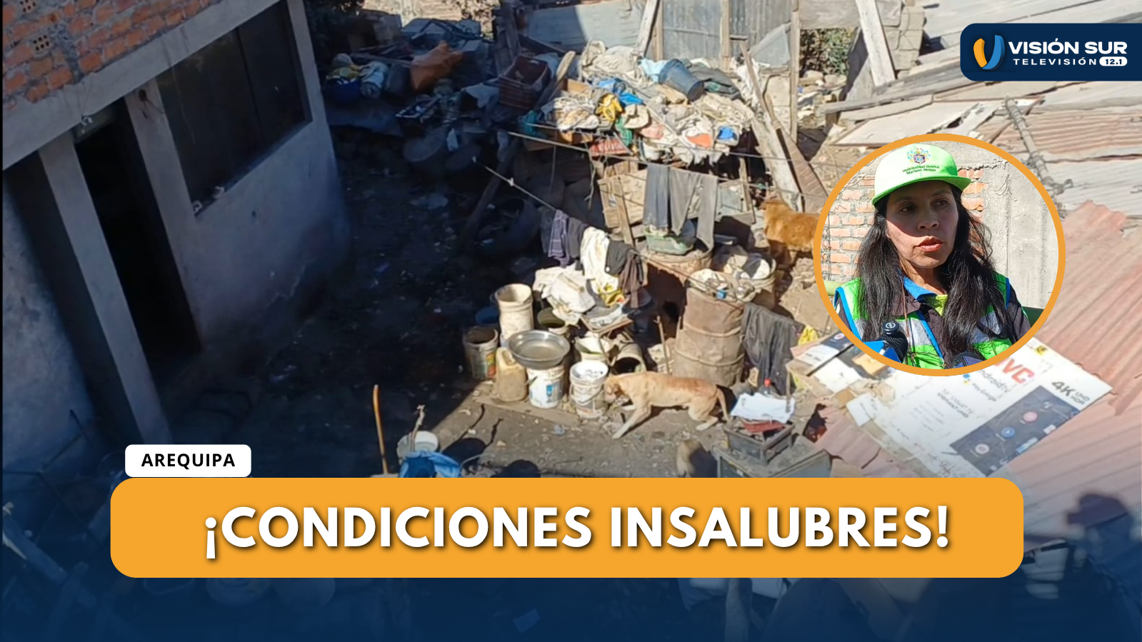 RETIRAN 13 CANES HACINADOS EN VIVIENDA EN MARIANO MELGAR 